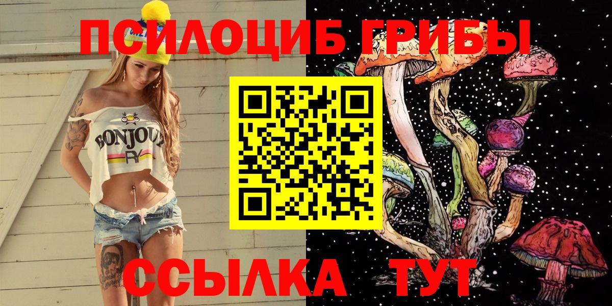 где найти   Вход с VPN  Бузулук  Псилоцибиновые грибы мухоморы 
