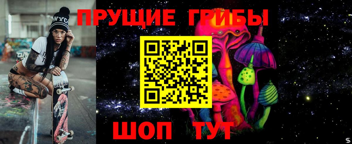 Галлюциногенные грибы Psilocybine cubensis Бузулук